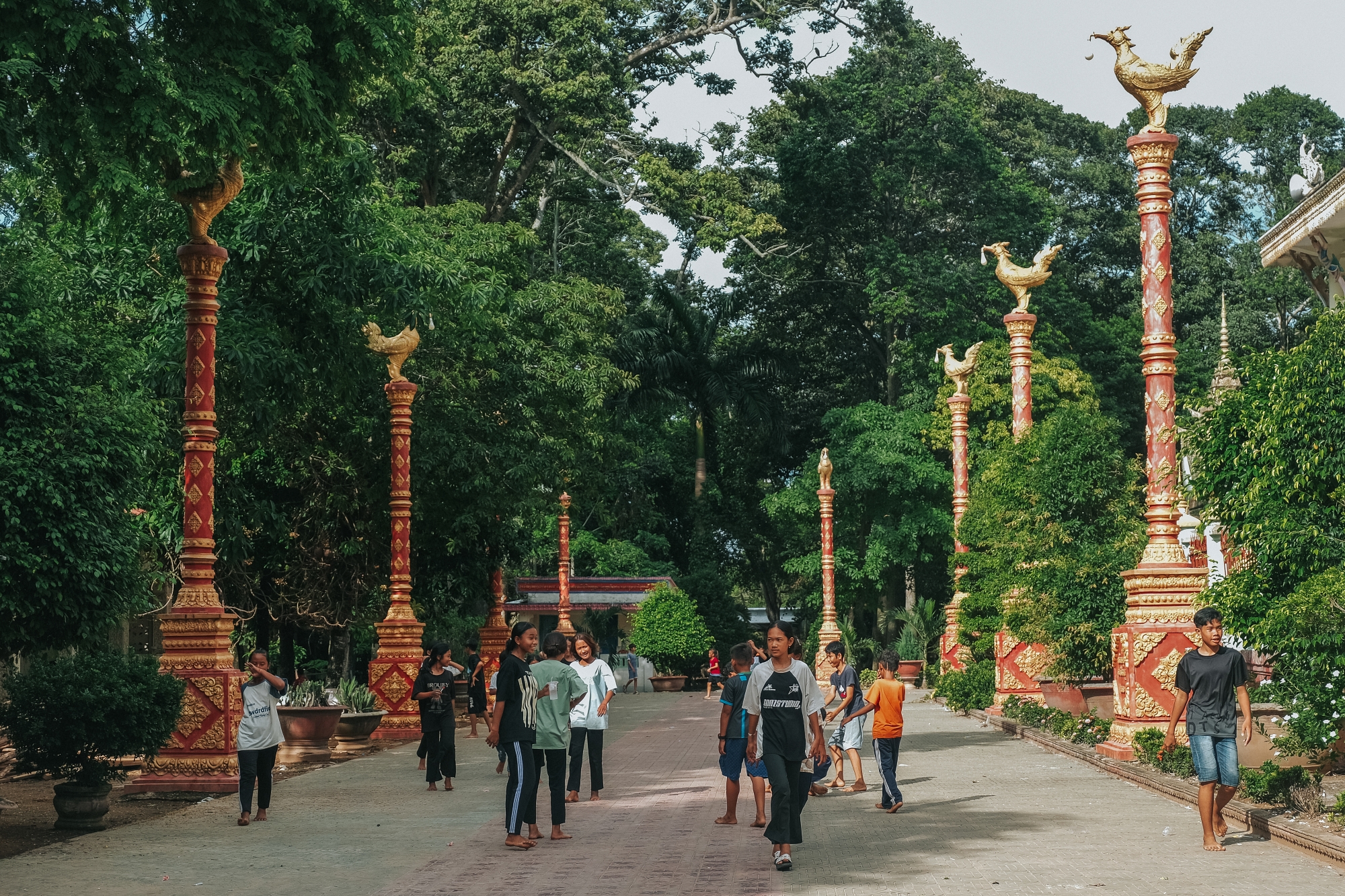 Khuôn viên chùa Hang rộng khoảng 7ha với nhiều cây xanh sinh trưởng tốt, có giá trị về mặt sinh quyển.