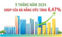 Infographic - 9 tháng năm 2024, GRDP Đà Nẵng tăng 6,47%