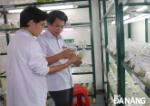 Da Nang boosts biotechnology development