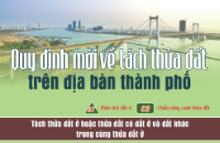 Infographic - Quy định mới về tách thửa đất trên địa bàn thành phố