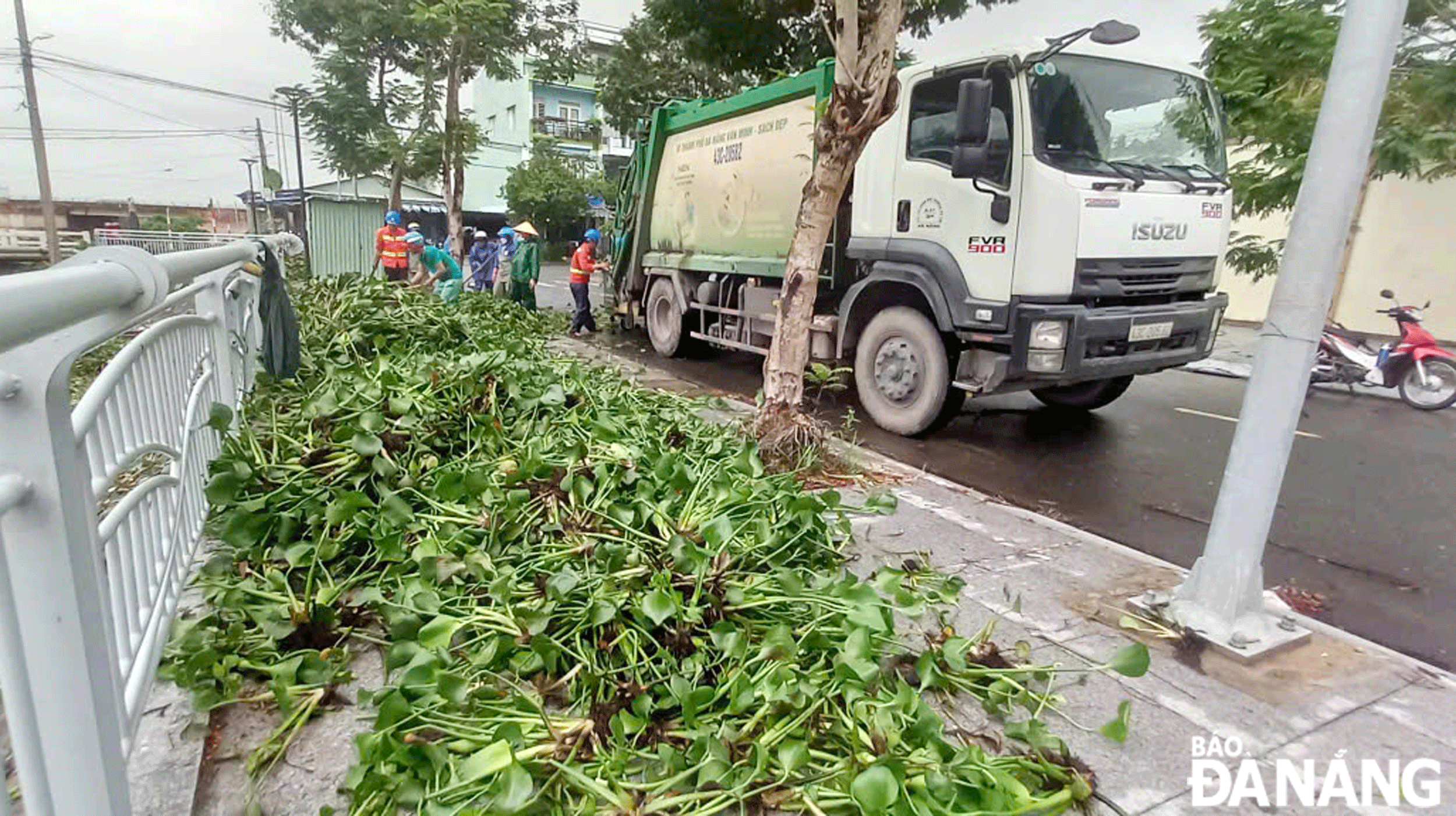 Chủ động bảo đảm vệ sinh môi trường