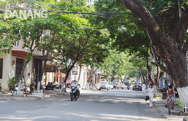 Mong diện mạo đường Phan Châu Trinh tươi mới