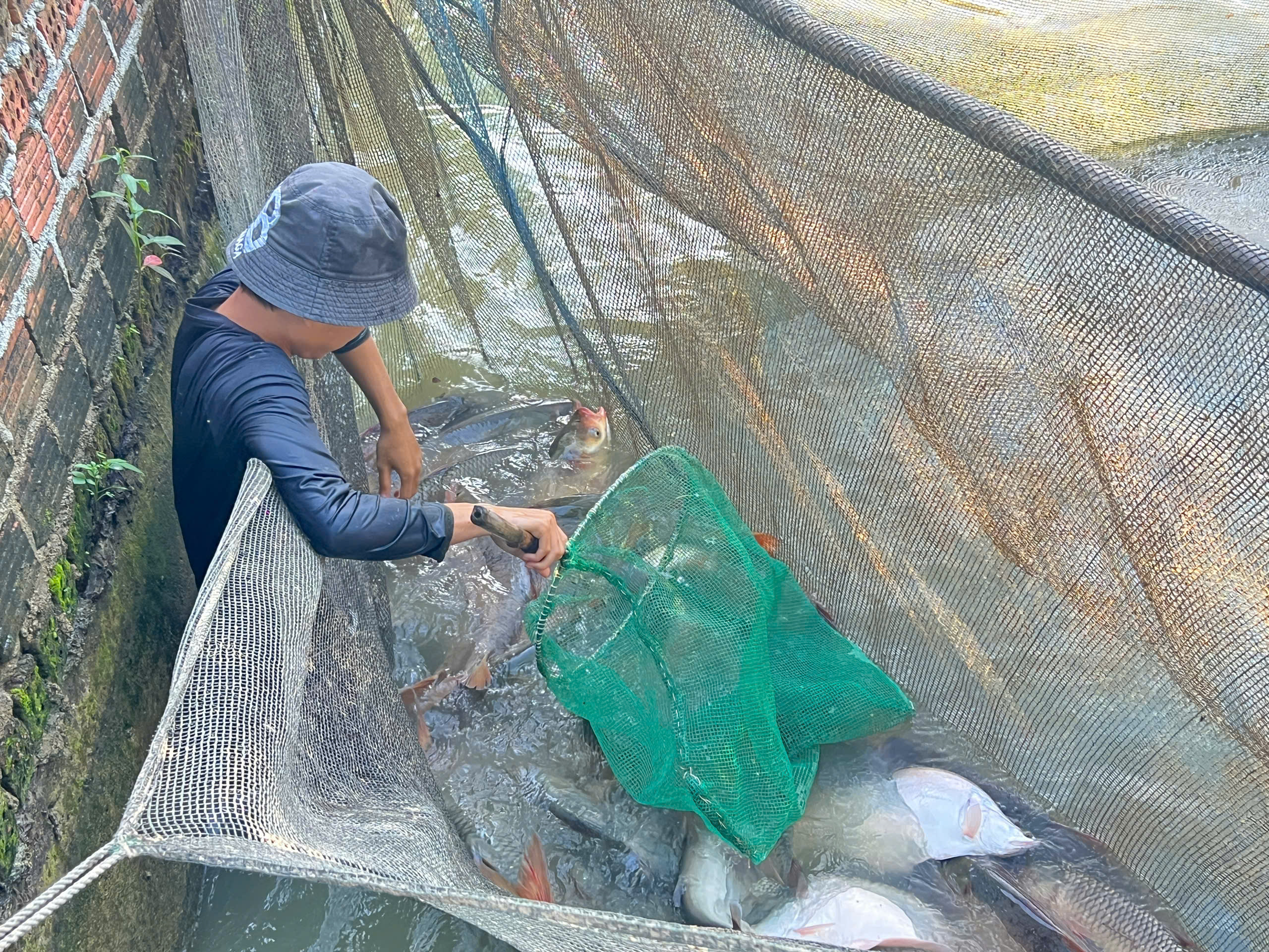 Khuyến nông để trợ lực cho nông dân phát triển kinh tế