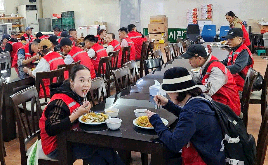 Rural workers from Hoa Vang District enjoying lunch time in South Korea. Photo courtesy of the Office of Labor, War Invalids and Social Affairs of Hoa Vang District.