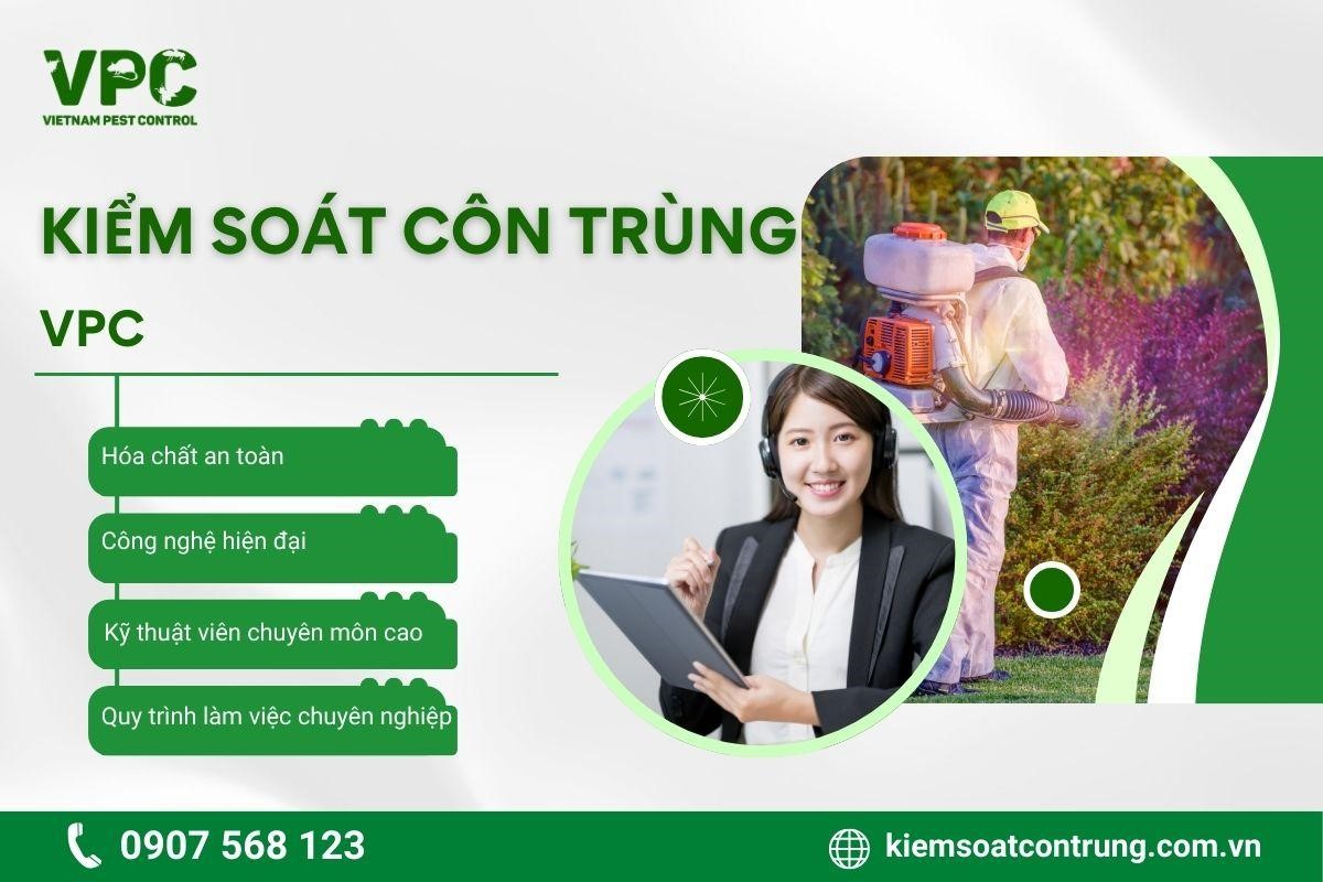 VPC mang đến các giải pháp diệt côn trùng hiệu quả và đáng tin cậy. 