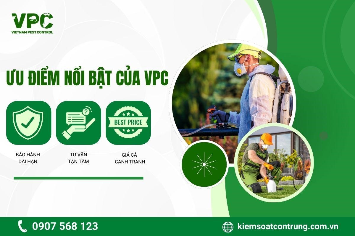 Ưu điểm vượt trội của VPC giúp công ty khẳng định vị thế trong ngành.