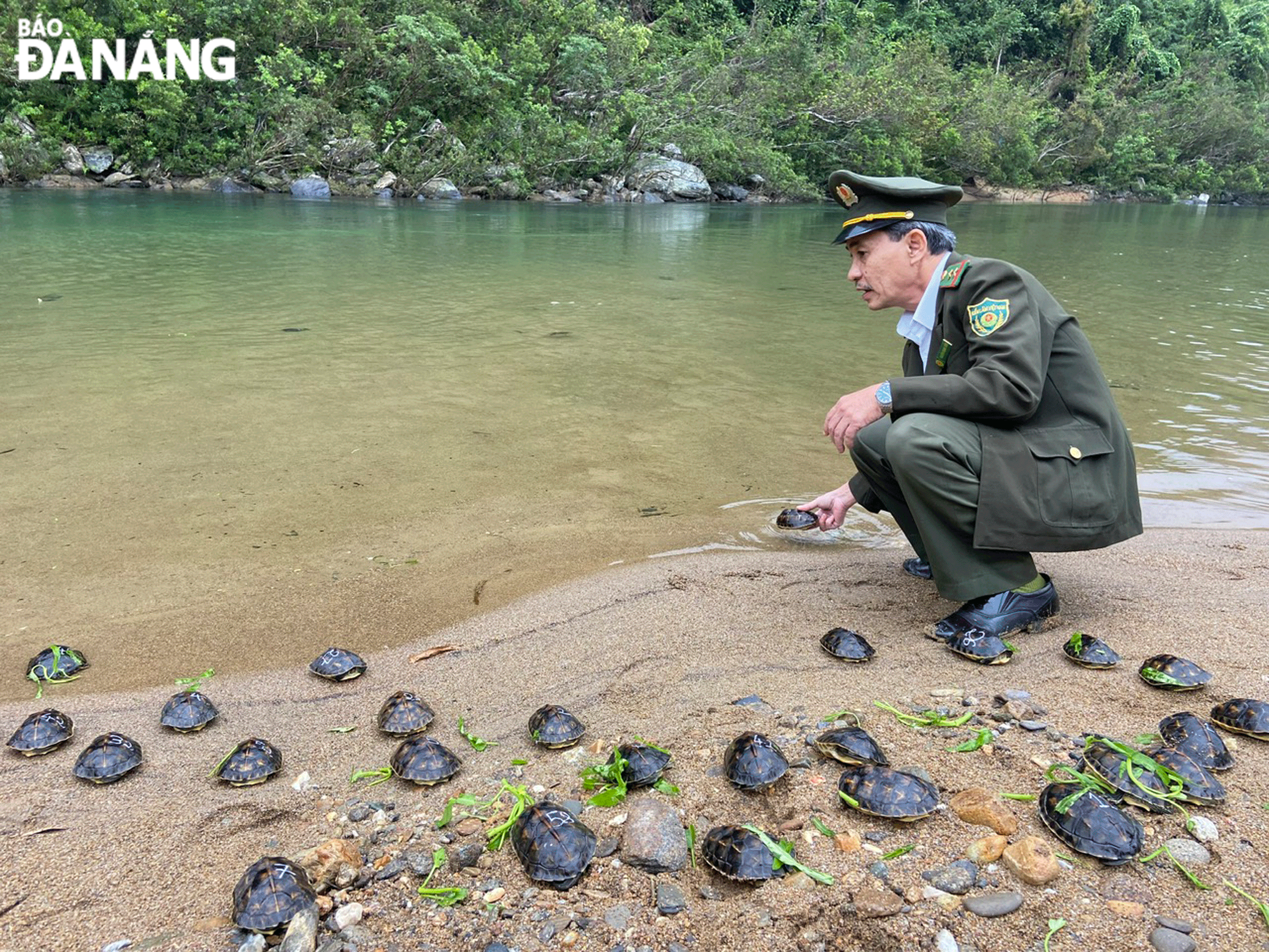 Functional bodies releasing wild animals back into the wild. Photo: THANH LAN