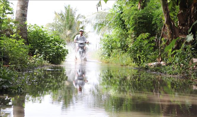 Mưa gây ngập một số nơi vùng trũng. Ảnh minh hoạ: TTXVN