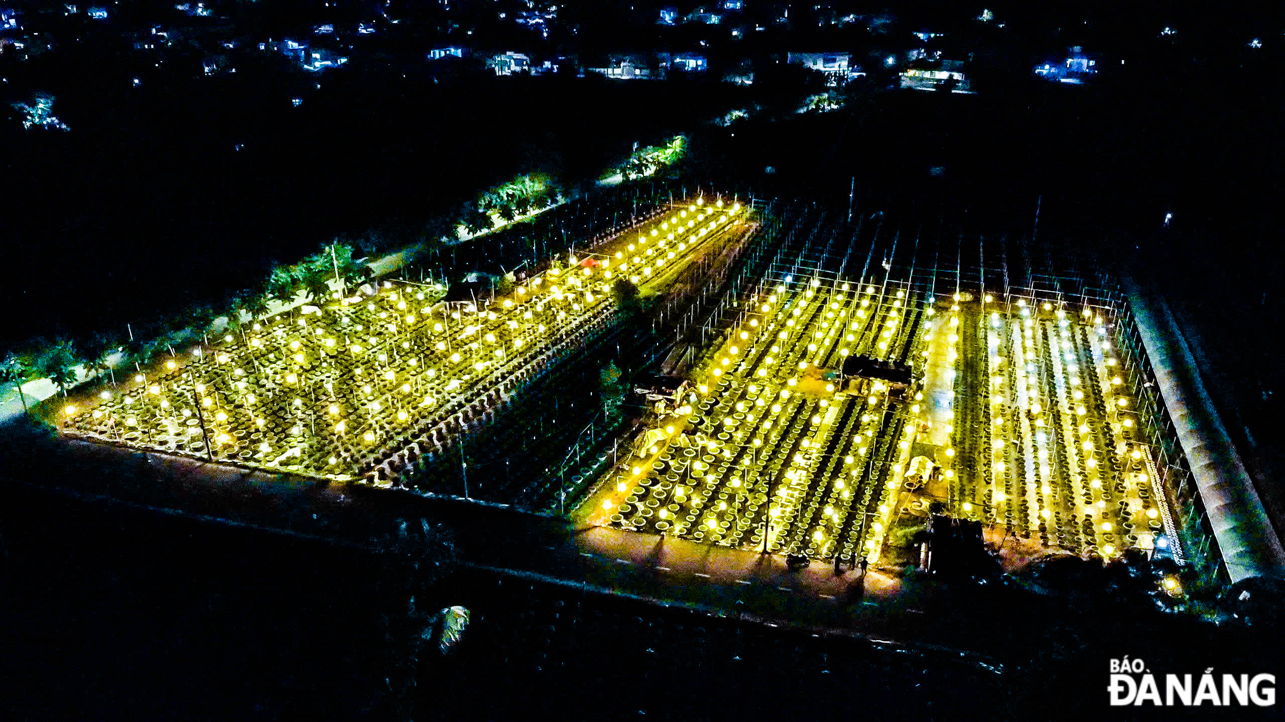 The Duong Son flower garden currently has a total area of ​​about 45,926 m2.