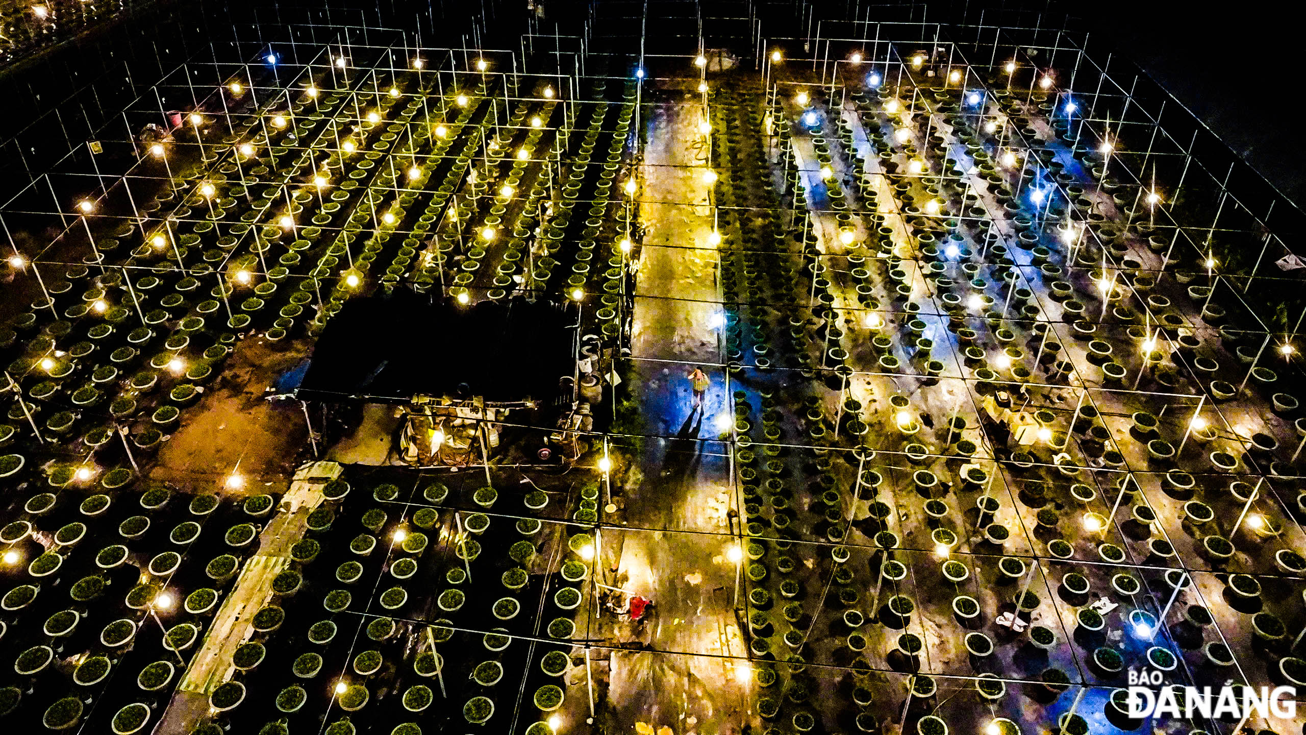 To develop the Duong Son flower garden into a new destination for tourists to visit and experience, the local authorities have worked with the Duong Son Flower Cooperative to convert to a flower growing model applying advanced technology instead of traditional methods, and mobilise people to use biological drugs instead of chemical drugs to ensure a safe and healthy environment in production. 