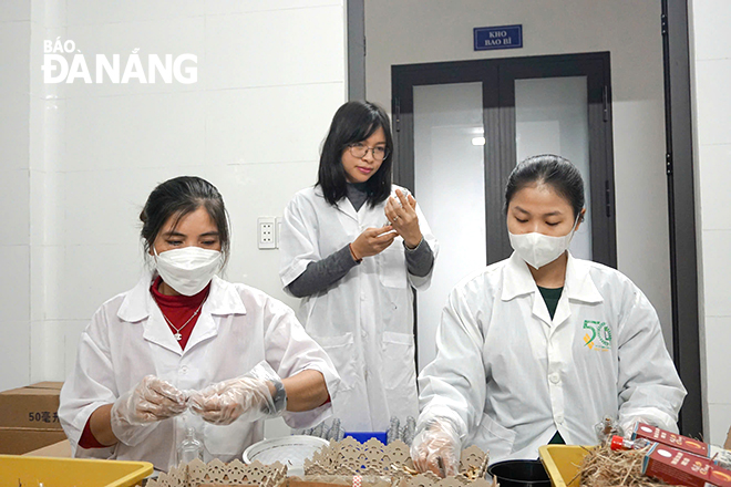 Hoang Phong Dana Co.,Ltd  in Hoa Minh Ward, Lien Chieu District, Da Nang applies biotechnology in product research and commercialization. Photo: VAN HOANG