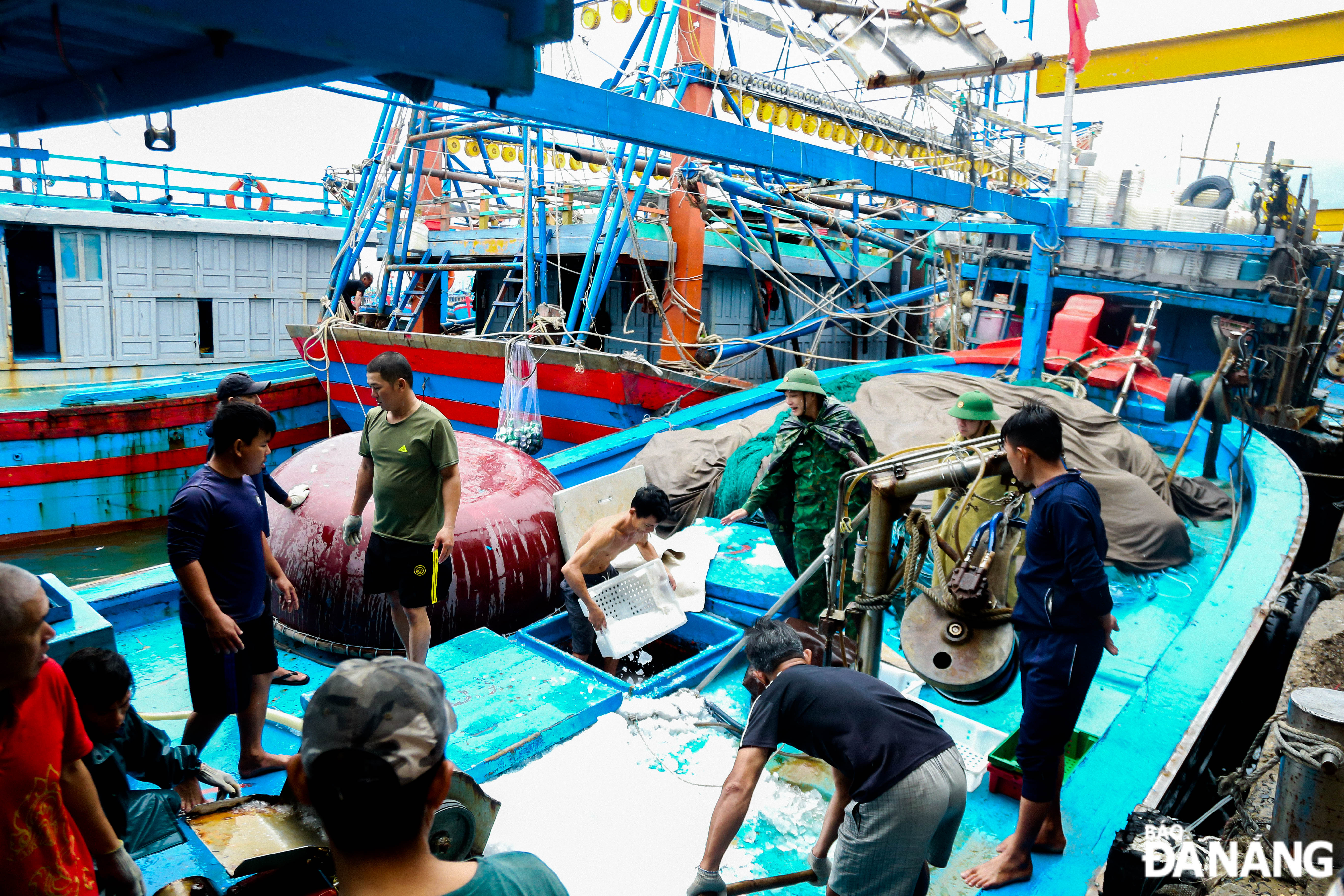 Da Nang's border guards call on fishermen to anchor their boats in safe places