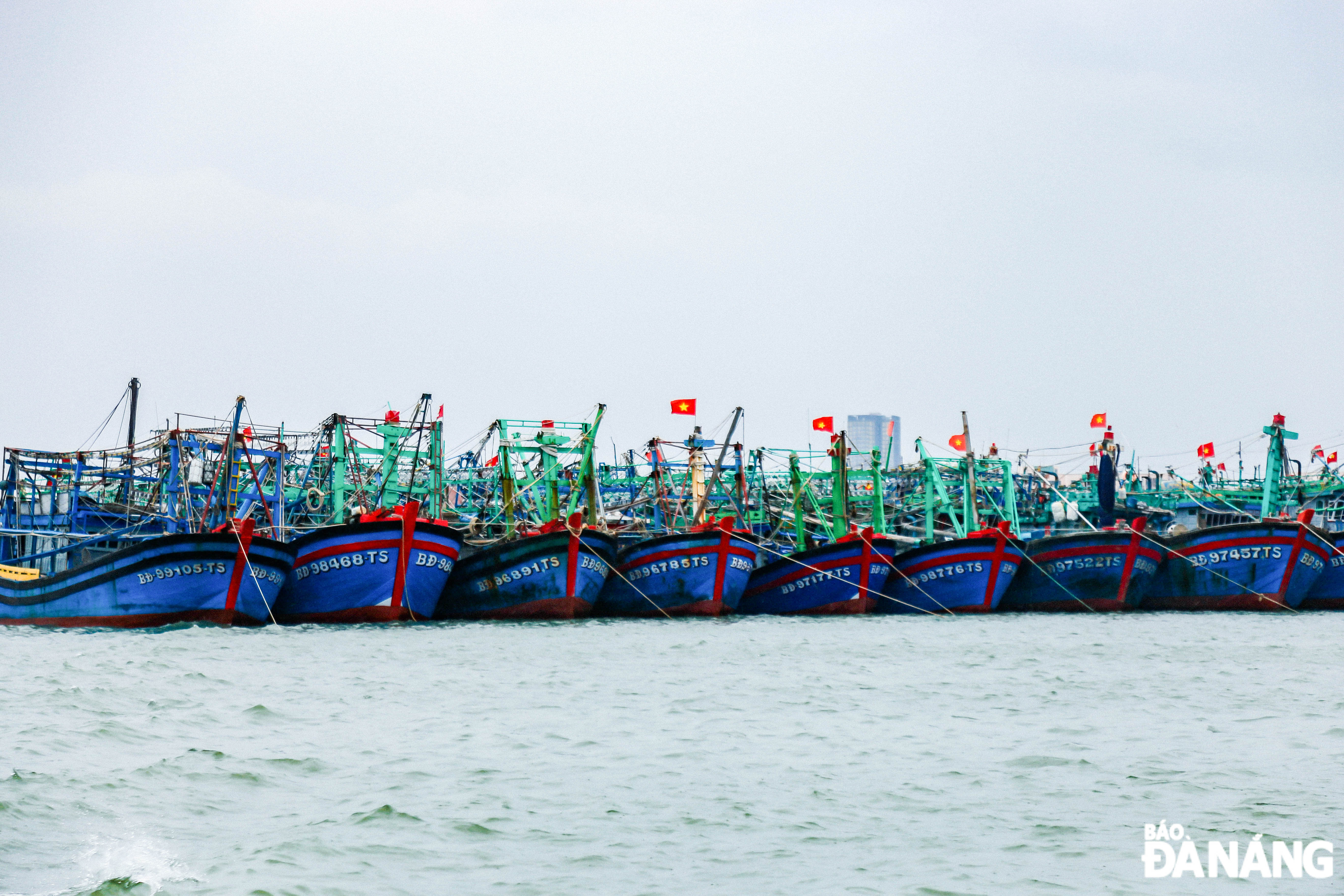 Fishing boats anchored at the Tho Quang Fishing Wharf