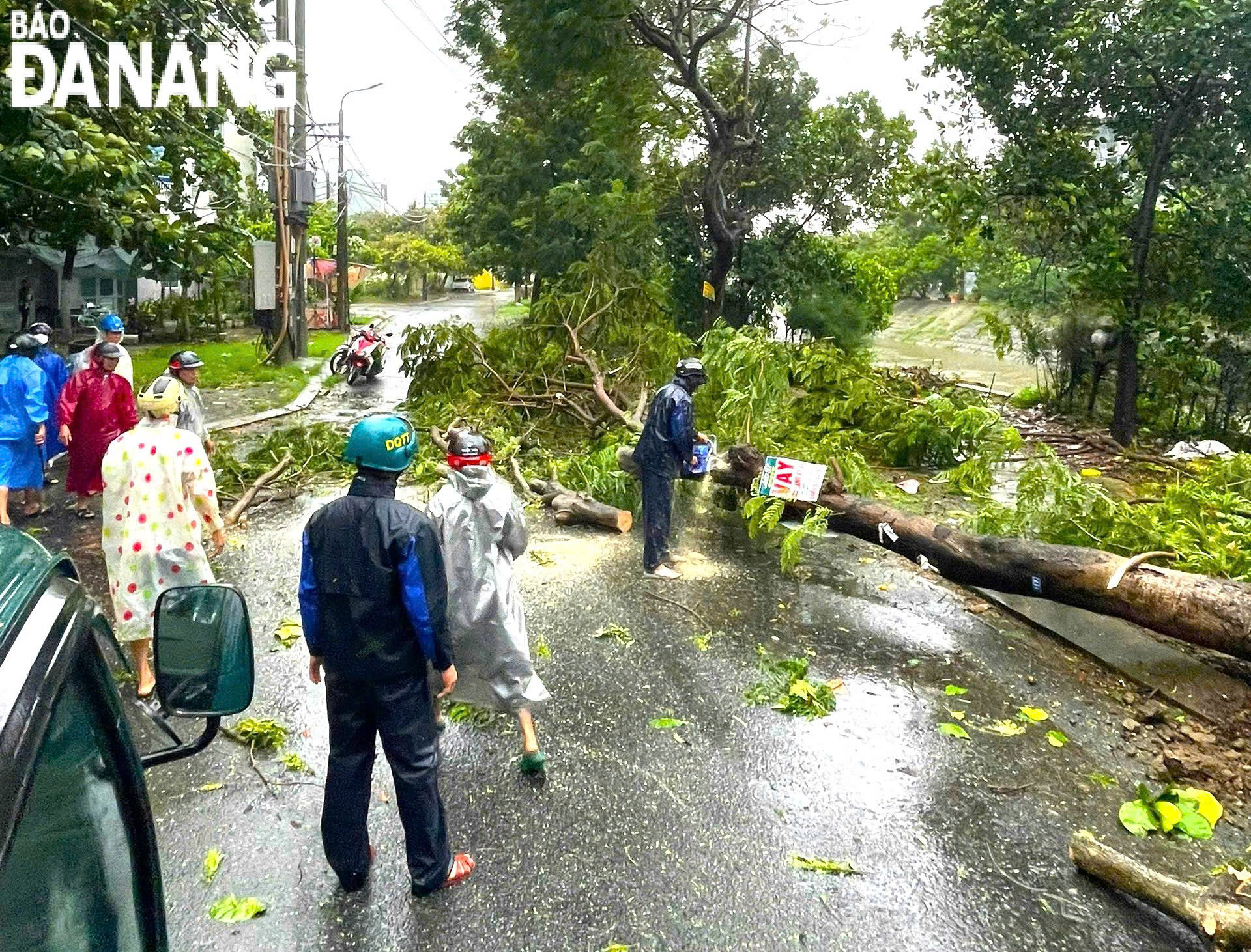 Công an phường Hòa Minh (quận Liên Chiểu) xử lý cây ngã sáng 27-10.