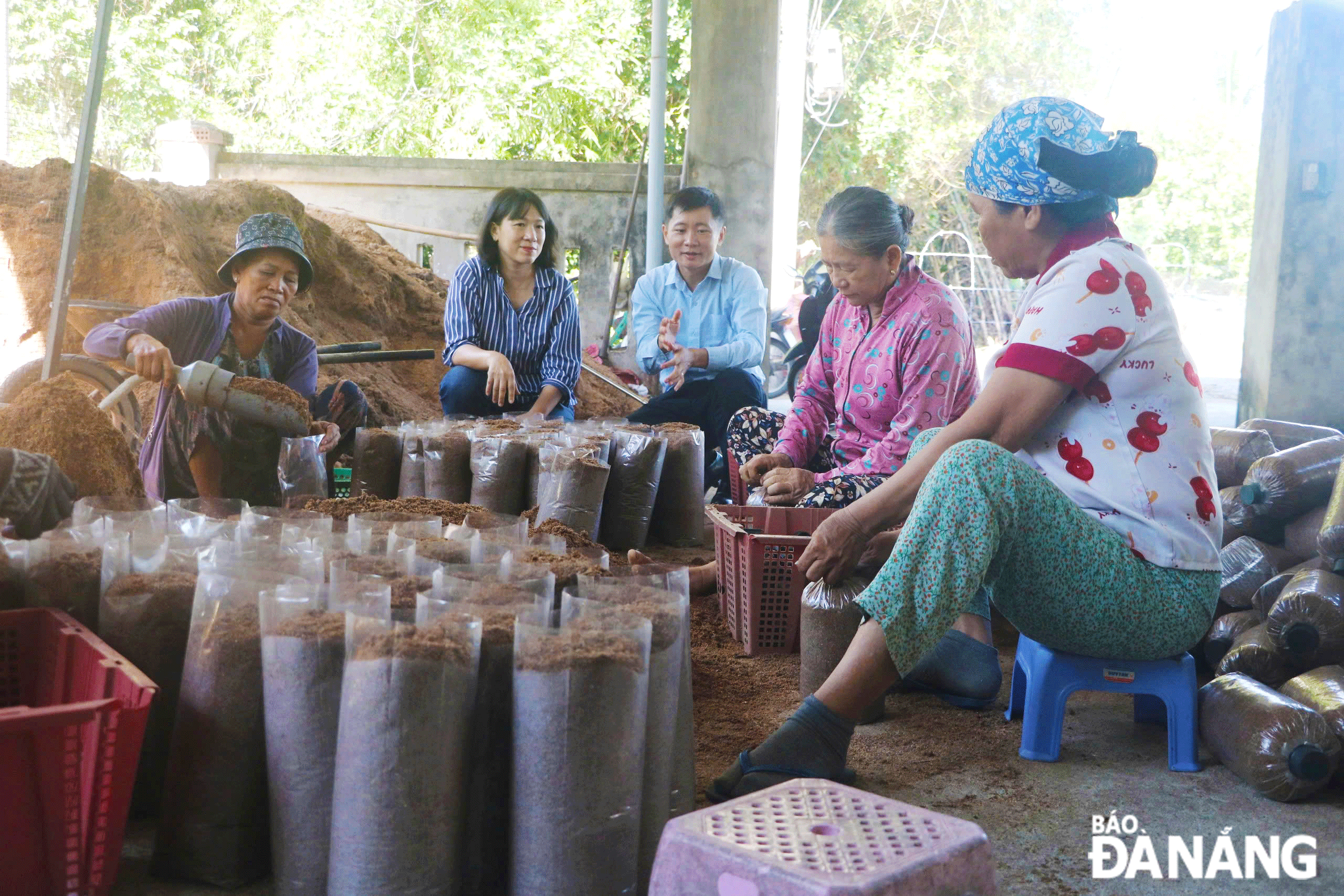 Mô hình sản xuất nấm bào ngư tại gia đình ông Trần Phước Sơn, xã Hòa Khương, huyện Hòa Vang. Ảnh: VĂN HOÀNG	