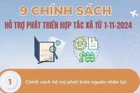 9 chính sách hỗ trợ phát triển hợp tác xã từ 1-11-2024