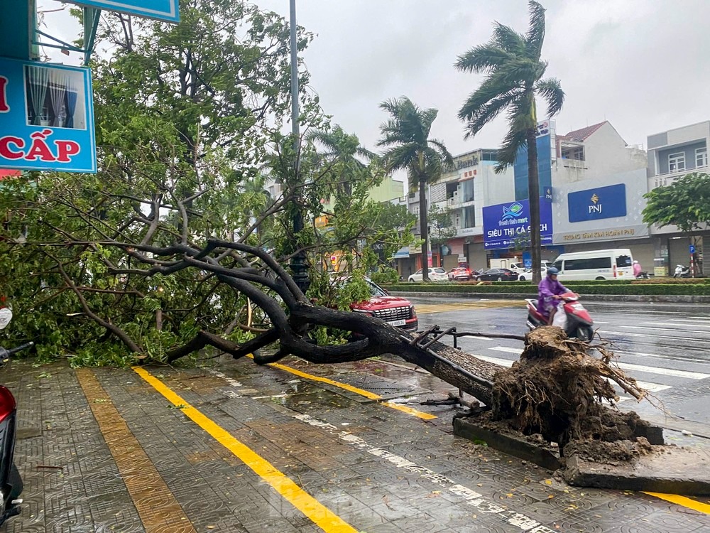 Bảo đảm thông tin liên lạc thông suốt phục vụ công tác điều hành, ứng phó với bão Yinxing