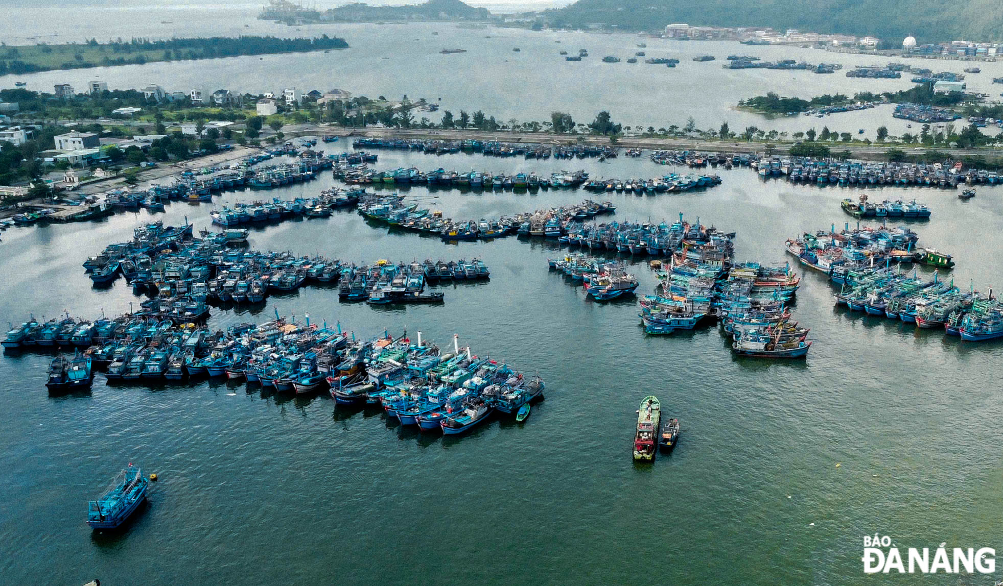 Hundreds of fishing boats from Da Nang and neighbouring provinces anchor at the Tho Quang Fishing Wharf.