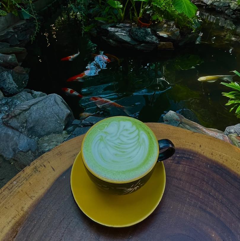 You can enjoy a green tea latte, crafted with the perfect blend. Photo: H.L