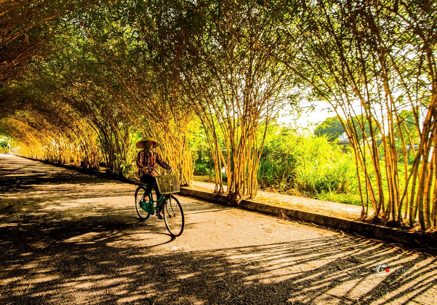 The autumn sunlight slanted through the leaves, shining down on the road, creating a captivating beauty.