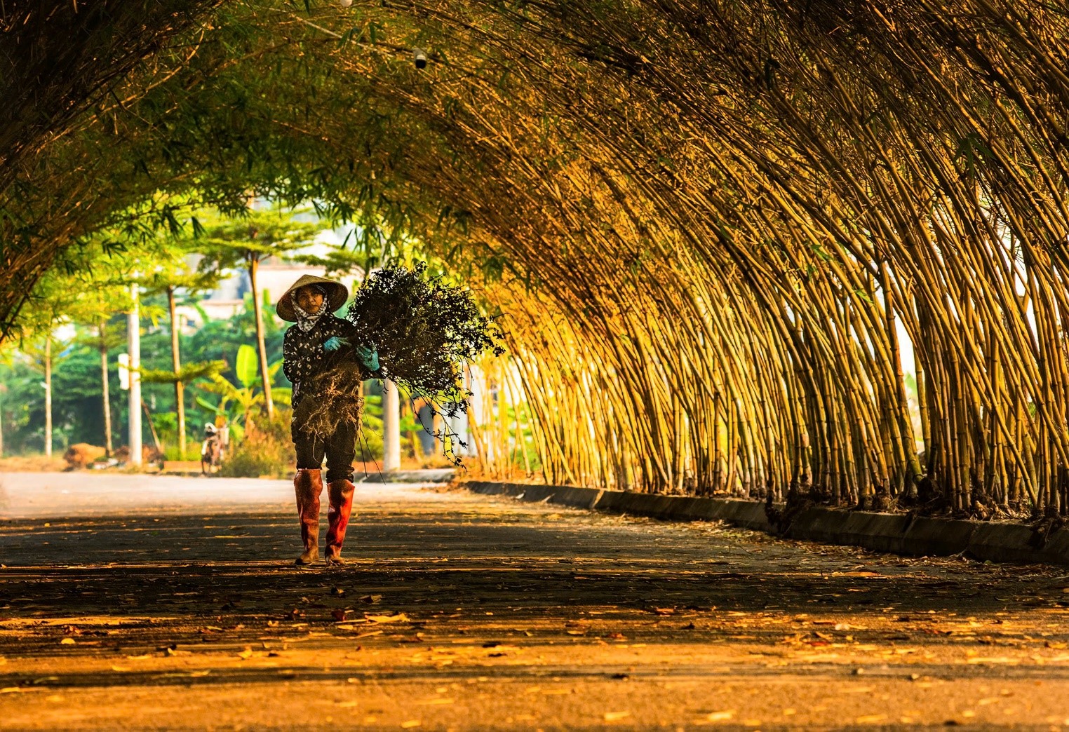 This pathway is always cleaned and maintained to keep it clean and airy.