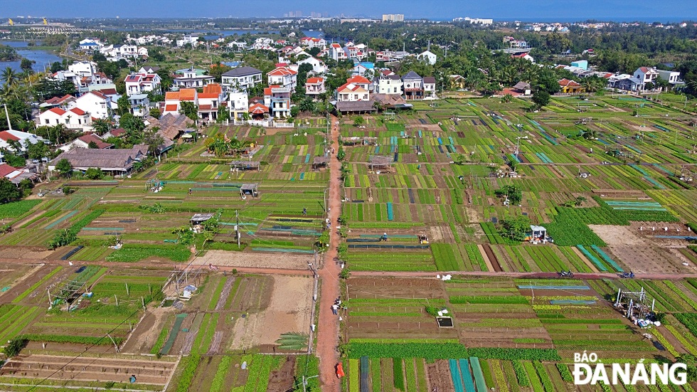 Located 3km northeast of Hoi An ancient town and more than 20km south of Da Nang, Tra Que vegetable village dates back to the 16th century.