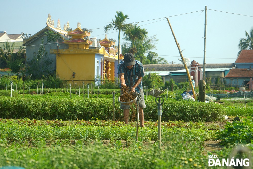 Tra Que villagers have cared for each vegetable bed through many generations.