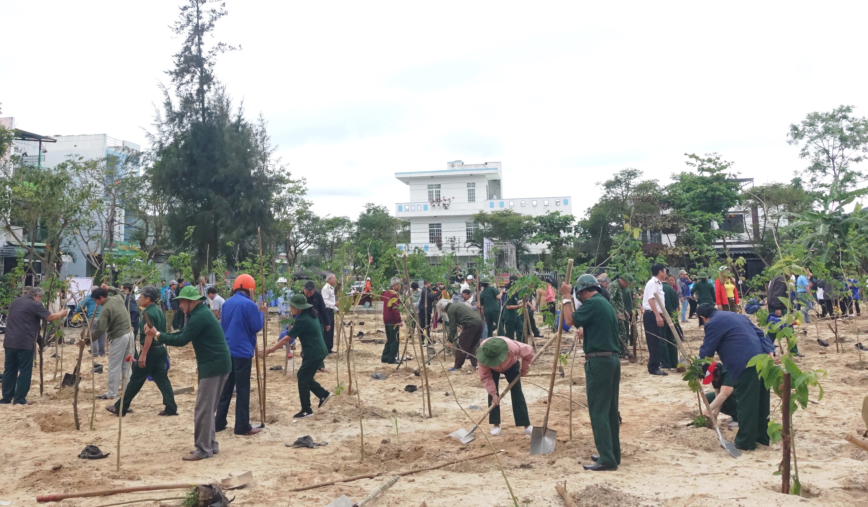 Nhiều cây xanh được trồng tại các công viên, vườn dạo trên địa bàn thành phố trong 3 năm qua. Ảnh: HOÀNG HIỆP