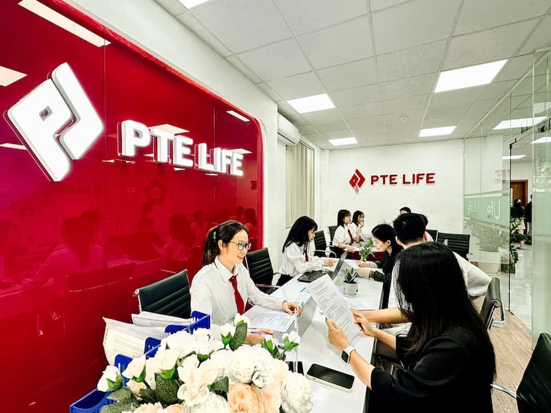 PTE Life - Đơn vị tiên phong triển khai cam kết đầu ra uy tín.