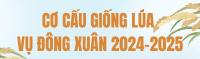 Infographic - Cơ cấu giống lúa vụ Đông Xuân 2024-2025