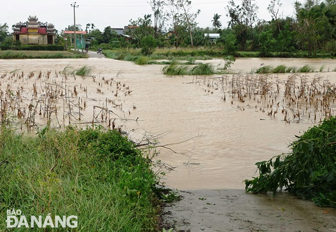 Cảnh báo lũ trên các sông