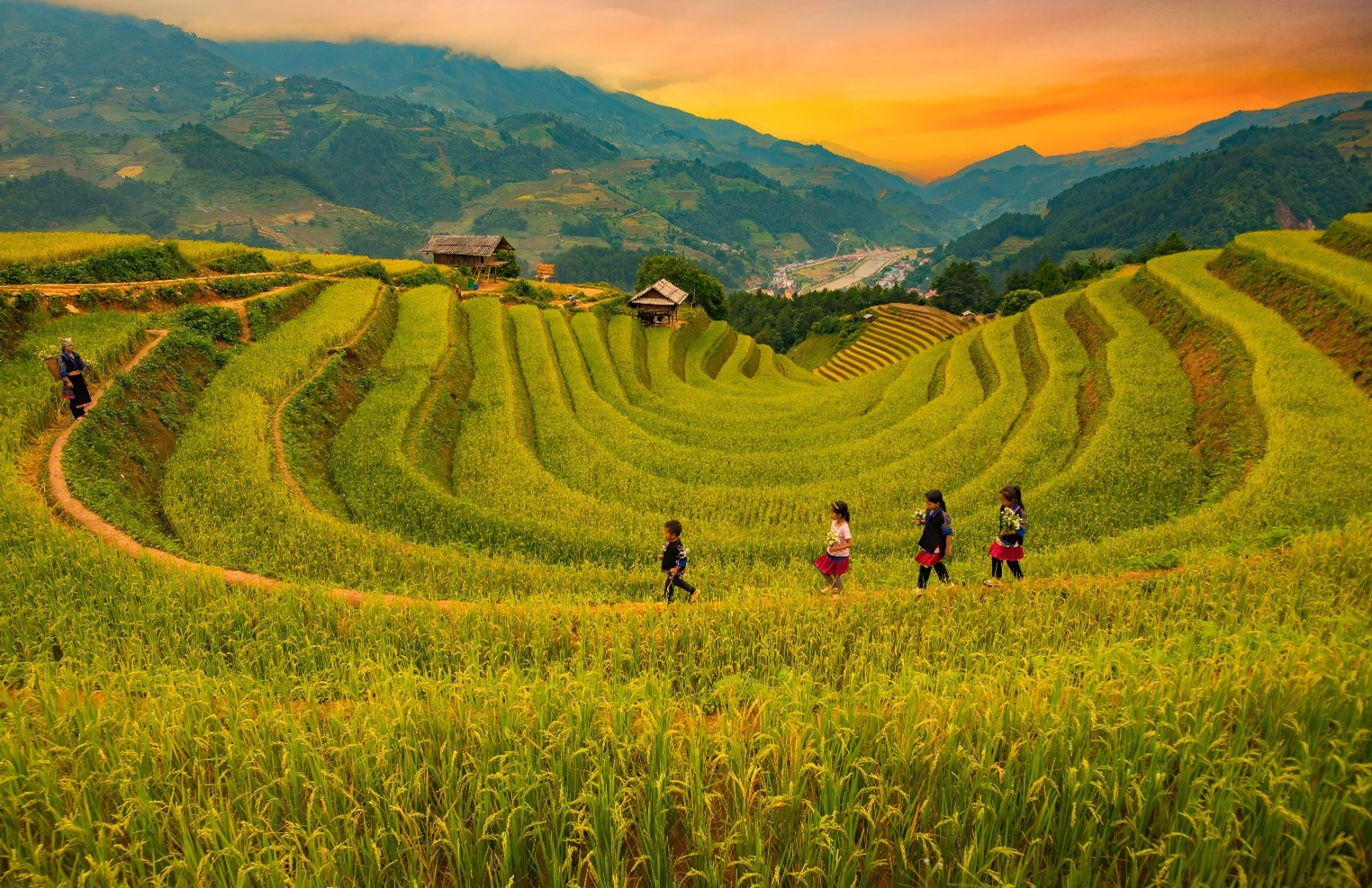 The terraced rice fields exude captivating beauty in the middle of the majestic mountains of the Northwest.