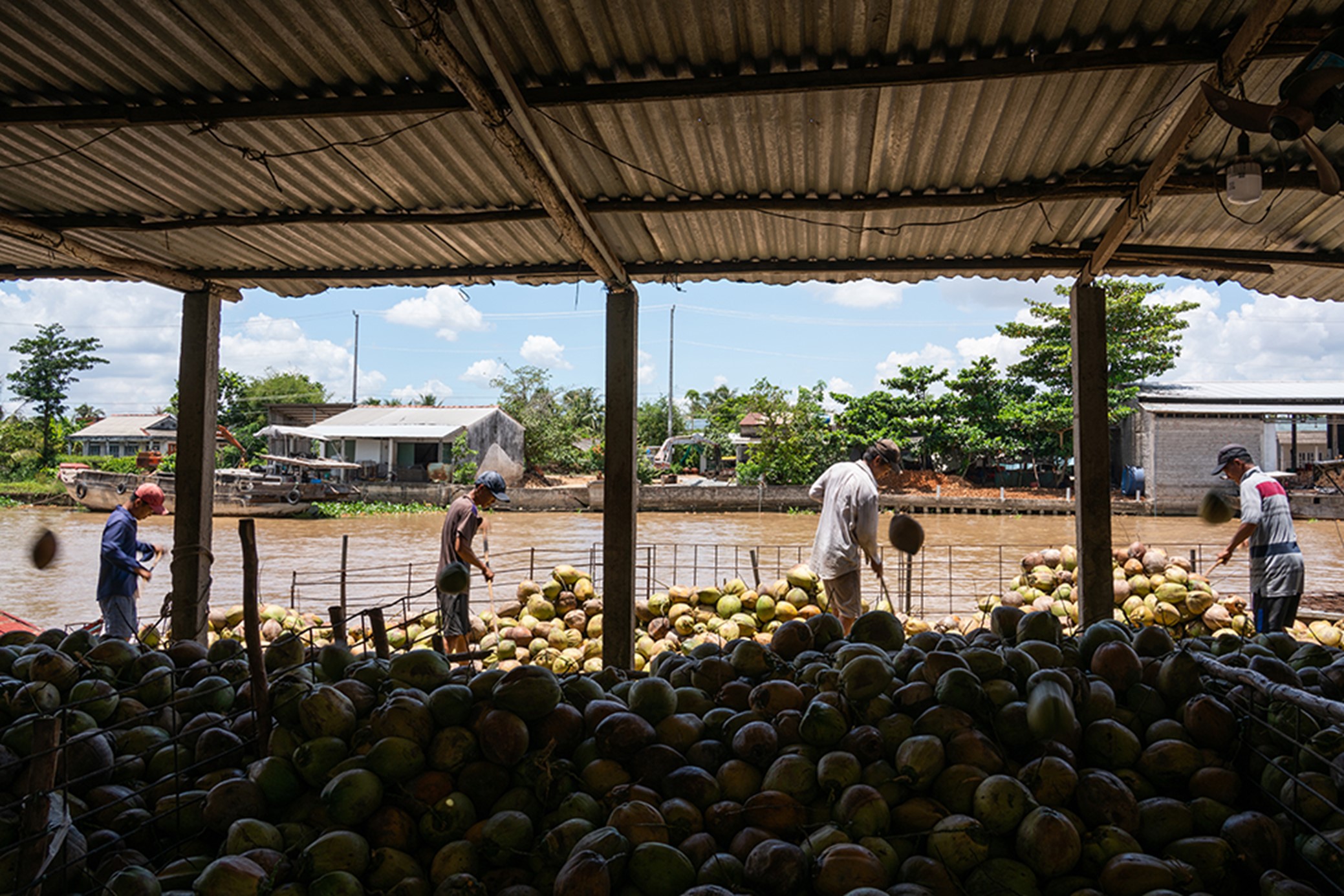 Day by day, when boats dock and depart, they are loaded to the brim with dried coconut husks.