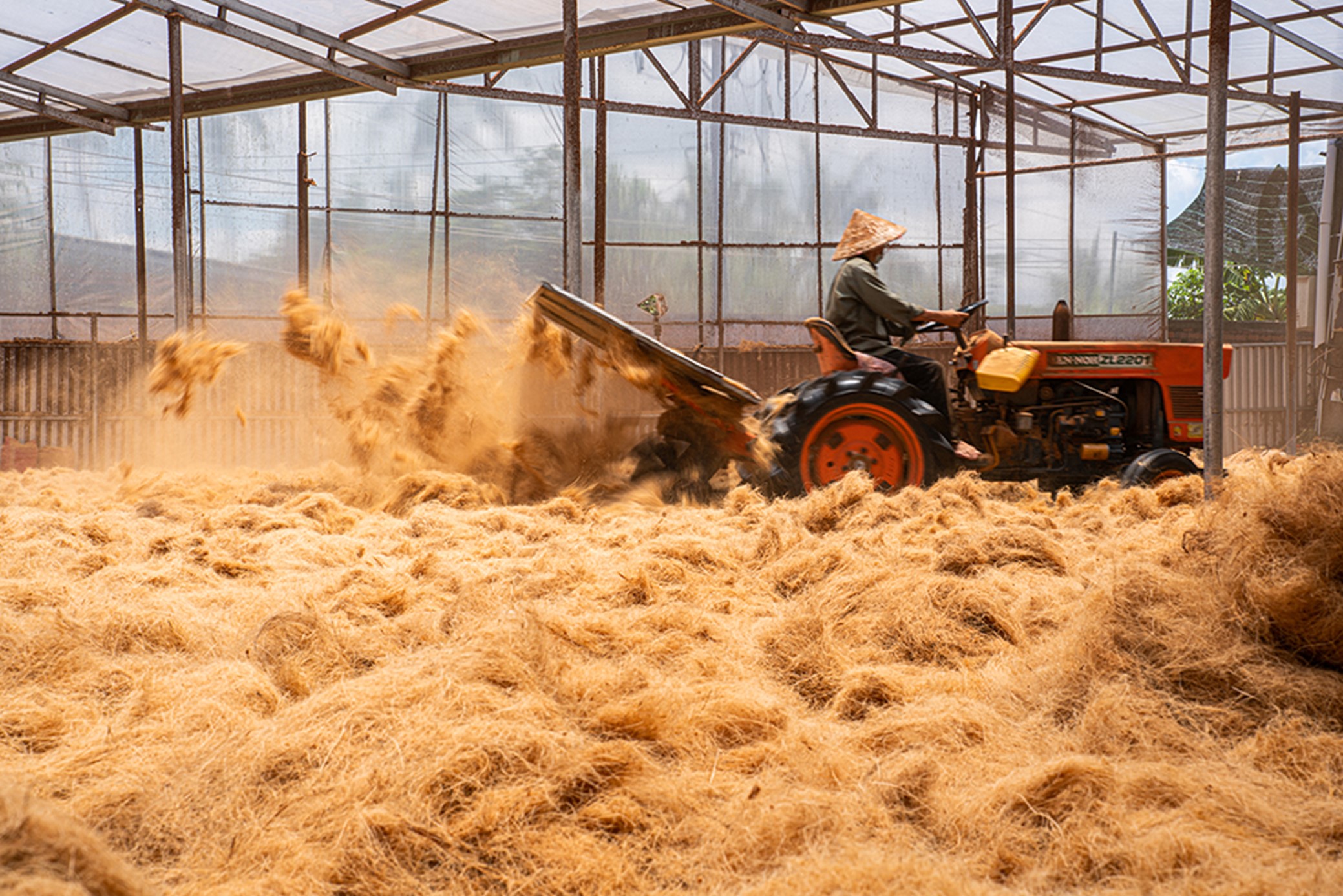 Those specializing in drying coconut coir fibers work only during the daytime—when the sun is shining.