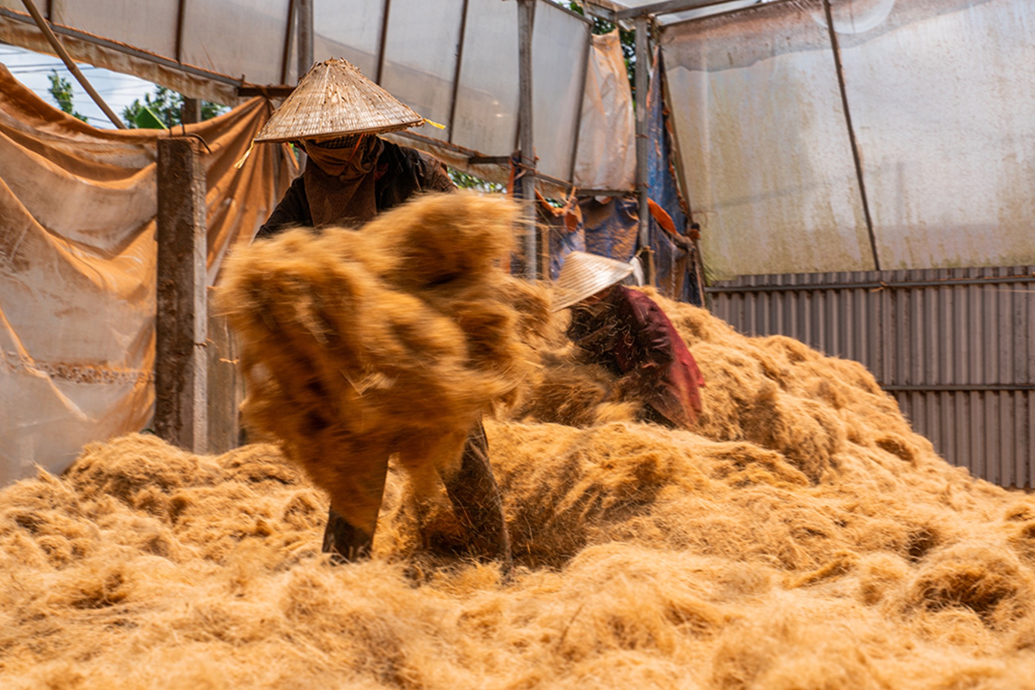 Under the scorching sun after 11 a.m., they swiftly rake and sweep to ensure the coconut coir fibers are evenly spread and dry quickly.