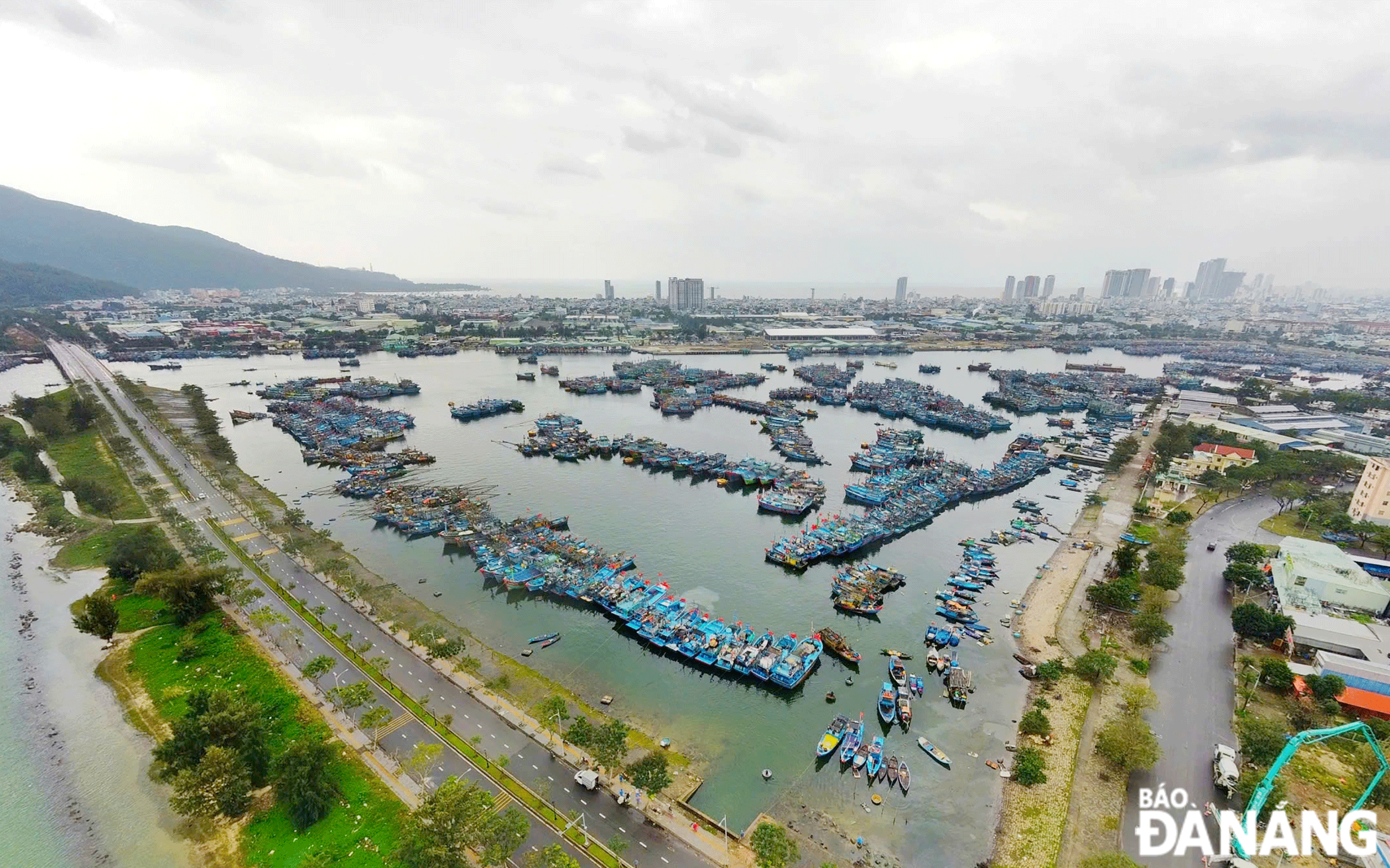 100% of fishing vessels entering and leaving the Tho Quang Fishing Port are monitored and supervised according to regulations. Photo: XUAN SON