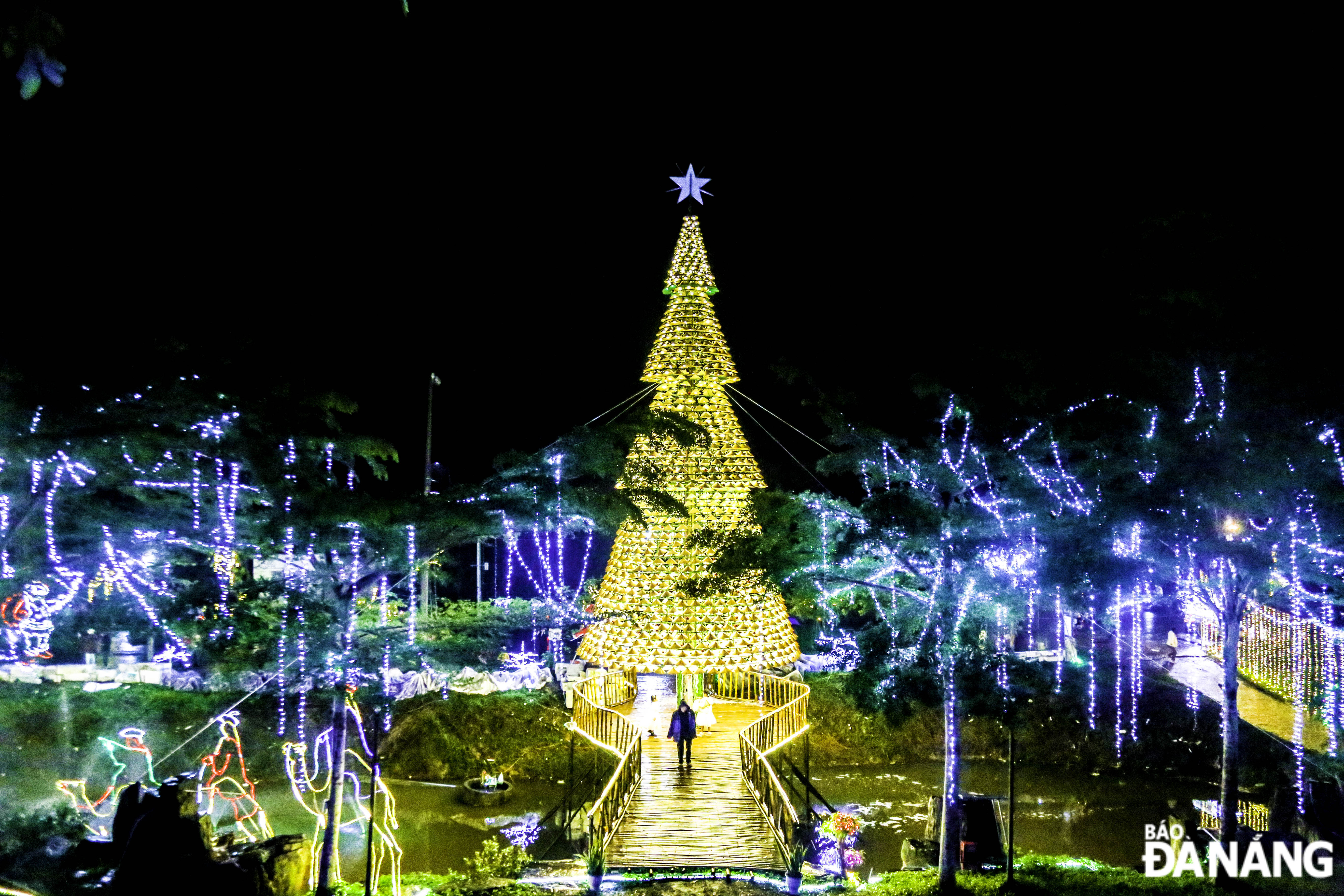 According to the representative of Phu Ha parish, the conical pine tree will be kept until Lunar New Year 2025 to serve the sightseeing and admiring needs of the people and tourists.