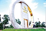 Vinh danh giữa cánh đồng