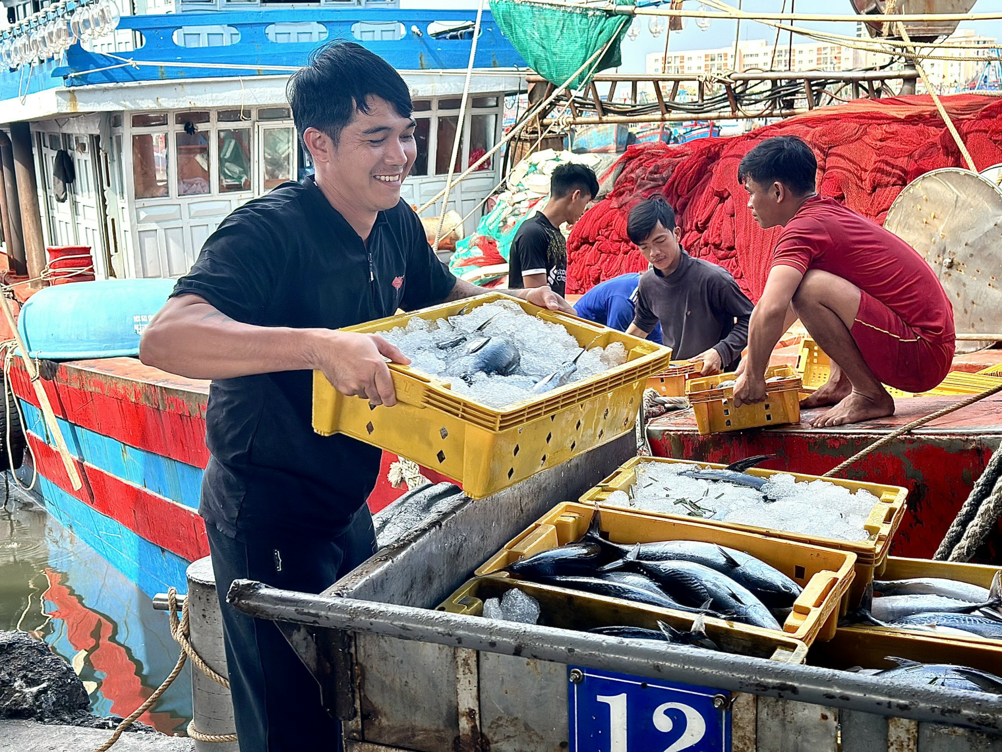 Ngư dân tất bật vươn khơi, bảo đảm cung ứng hải sản dồi dào