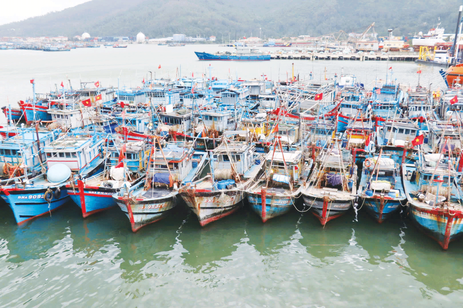 Với nhiều giải pháp đồng bộ và quyết liệt, các tồn tại, hạn chế trong chống khai thác IUU của Đà Nẵng đã cơ bản được khắc phục xong. Ảnh: TRẦN TRÚC