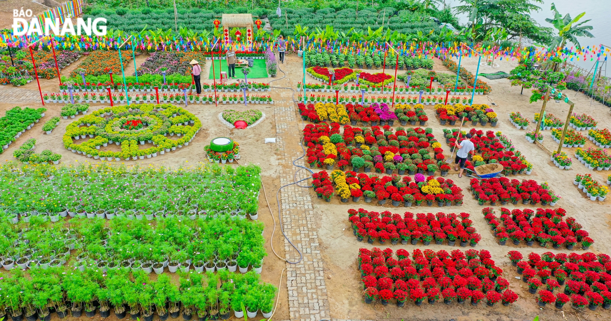 The model receives enthusiastic response and participation from farmer members. In addition to funding, members also joined hands to support working days to create the 'Green Cam Le' check-in garden.