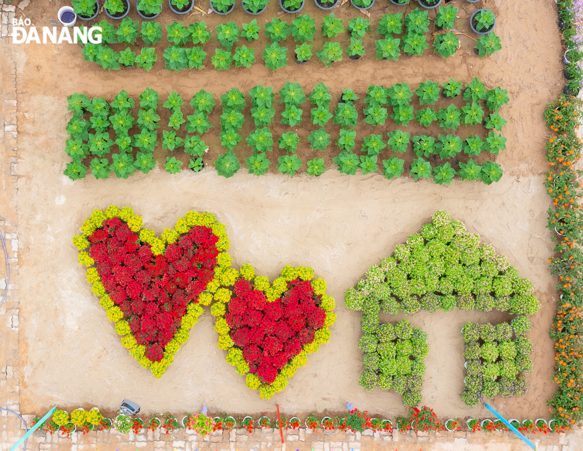 The image of a house and hearts made from flowers clearly shows the message of the farmers towards a green Cam Le.