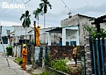 Chuyện về những anh, chị 'táo' dễ thương