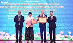 Bệnh viện Đà Nẵng khánh thành hệ thống chụp mạch số hóa xóa nền (DSA) do Tổ chức 'Trái tim vì trái tim' viện trợ