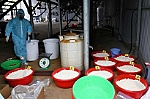 Triệt phá công xưởng sản xuất ma túy tổng hợp 'khủng' nhất Việt Nam