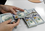 Tỷ giá hôm nay 8-4: Giá USD vượt mốc 26.000 VND/USD