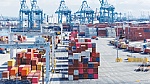 Các nước gấp rút ứng phó 'bão thuế quan' từ Mỹ