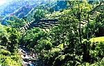 Ruộng bậc thang 'ở lưng chừng núi'