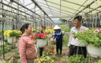 Sát cánh cùng nông dân phát triển kinh tế