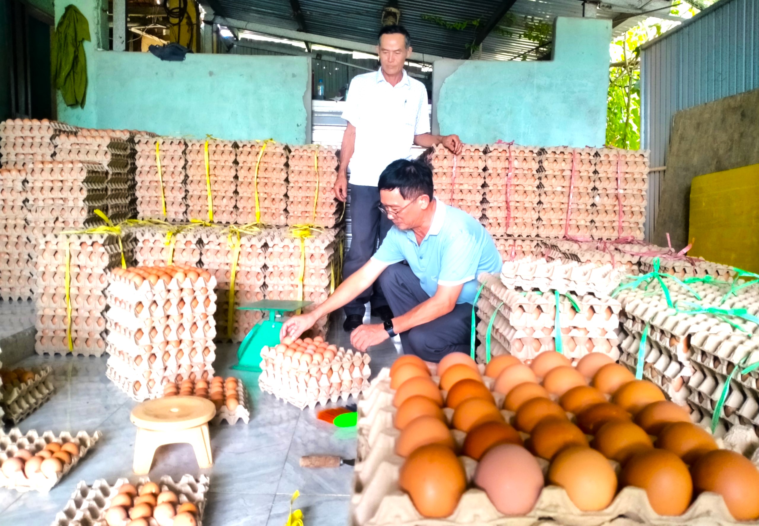 Thúc đẩy phong trào nông dân thi đua sản xuất, kinh doanh giỏi